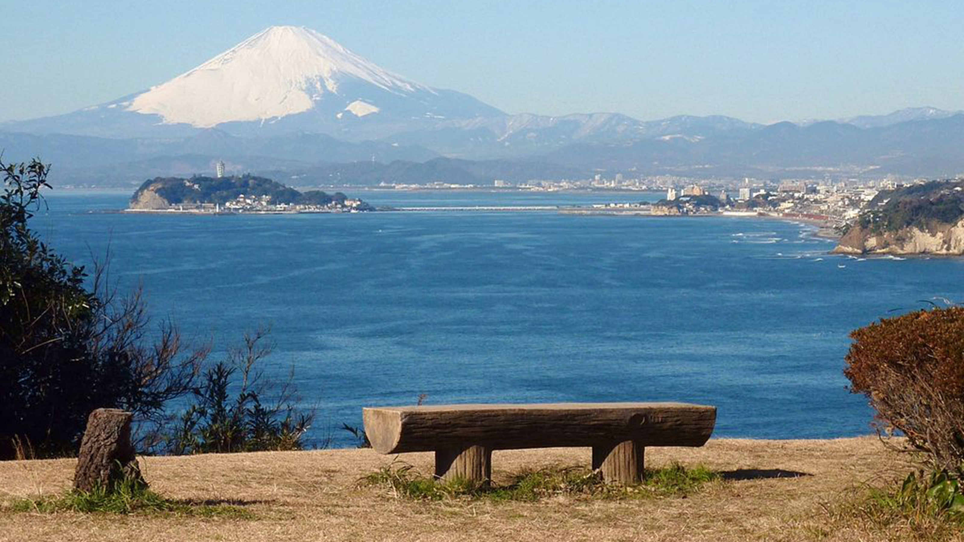 逗子市大崎公园