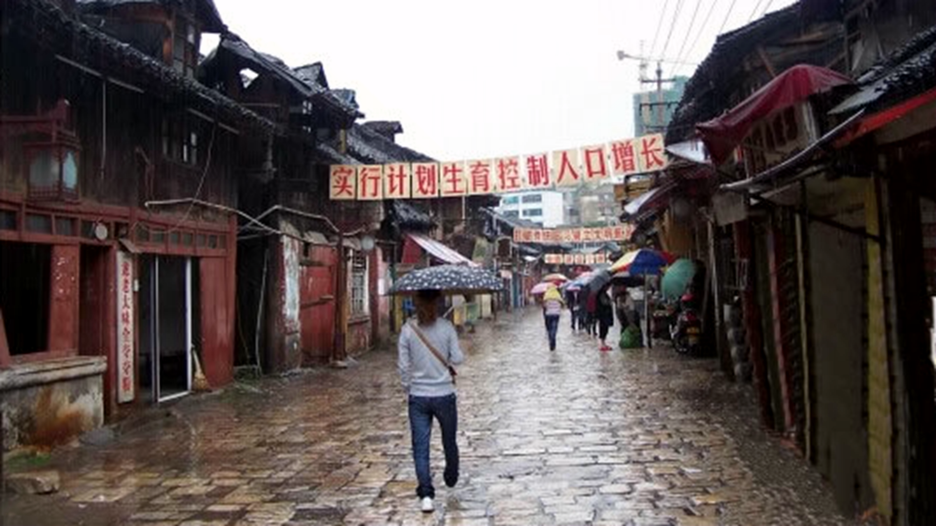 儒林路