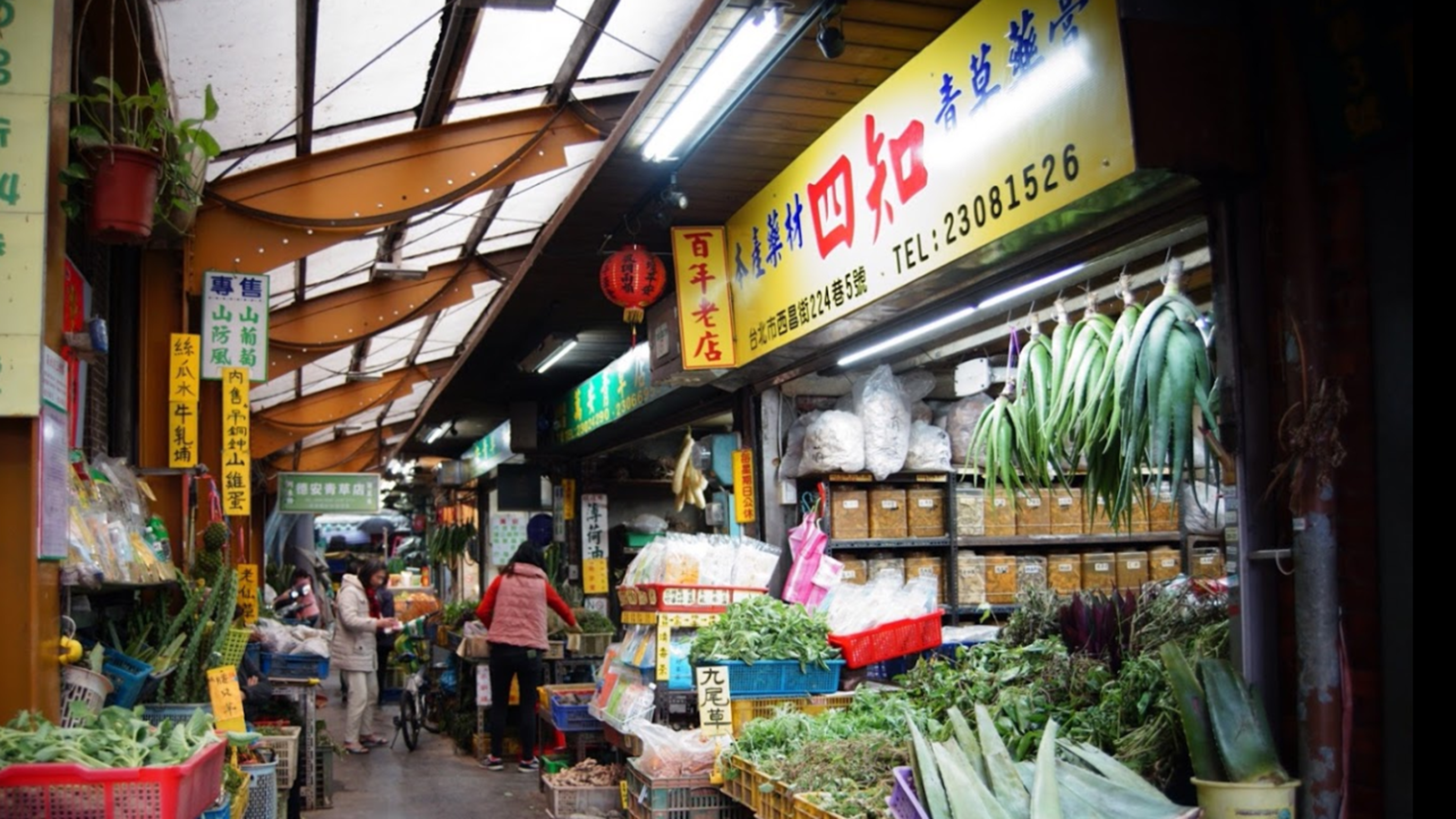 四知青草药膏店