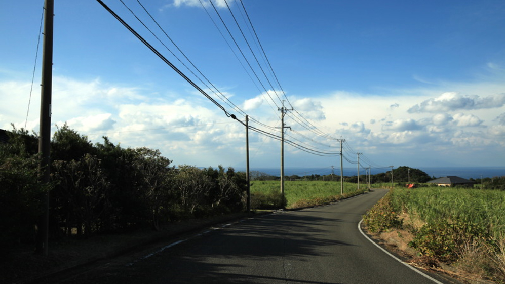 种子岛星原地区农道