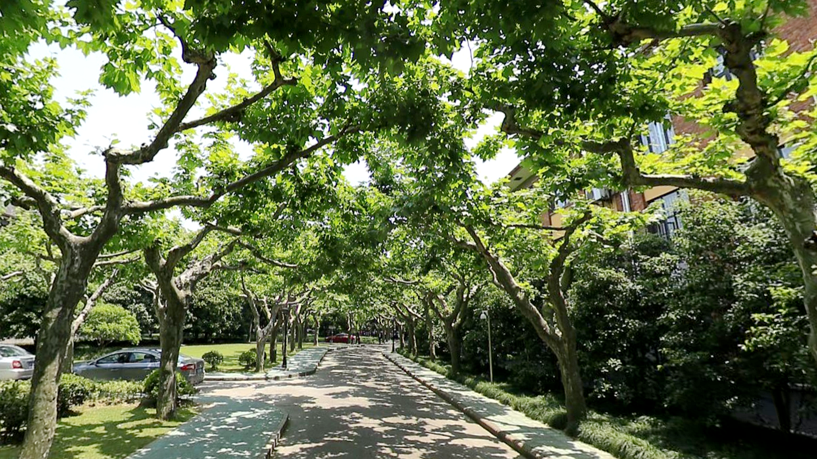 学府路