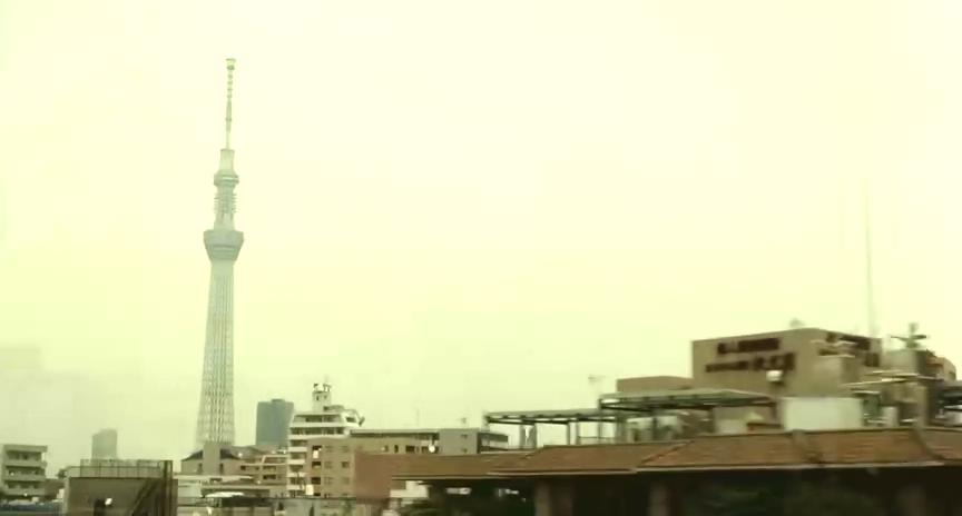 老两口游览东京