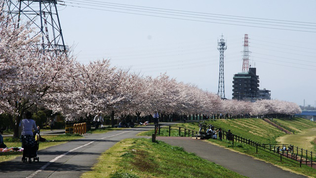 稻城北绿地公园