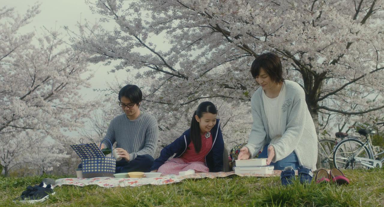 野餐的樱花道