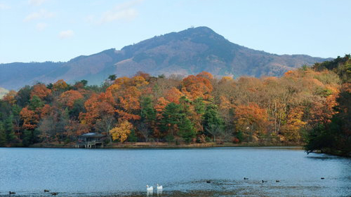 宝池公园