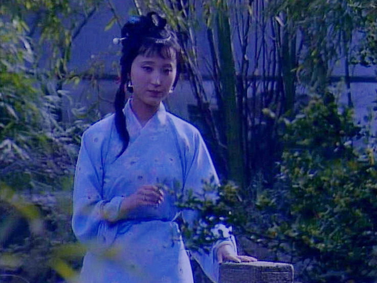 黛玉拾落花
