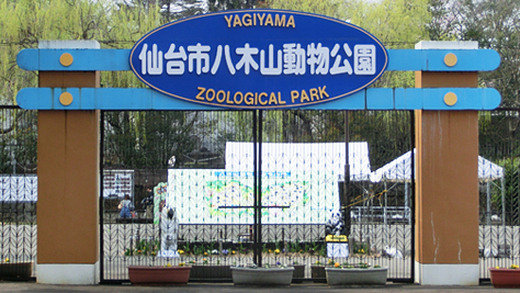 八木山动物公园