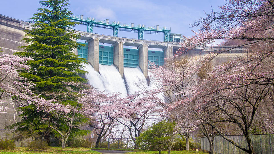 大仓水坝