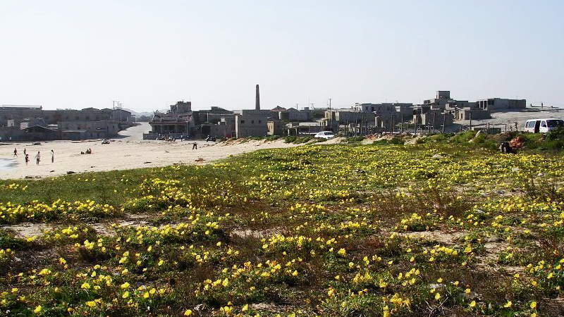 沙堤村建港大道