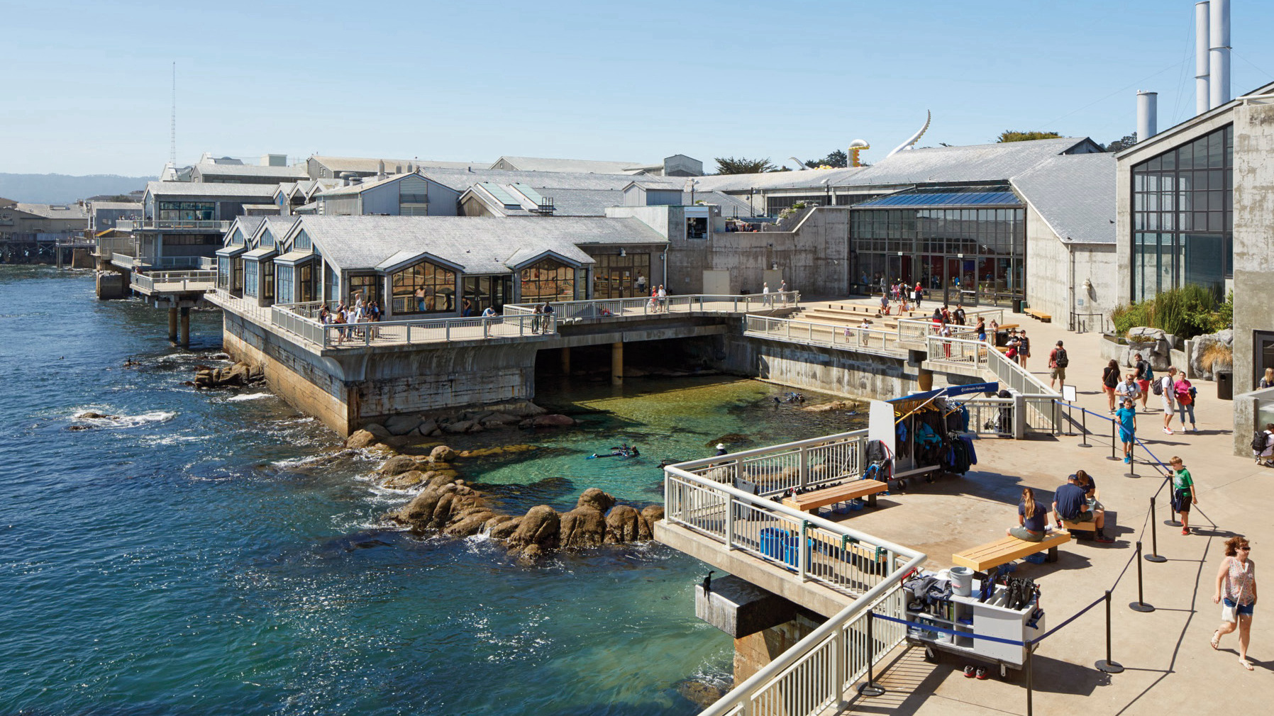蒙特雷湾水族馆