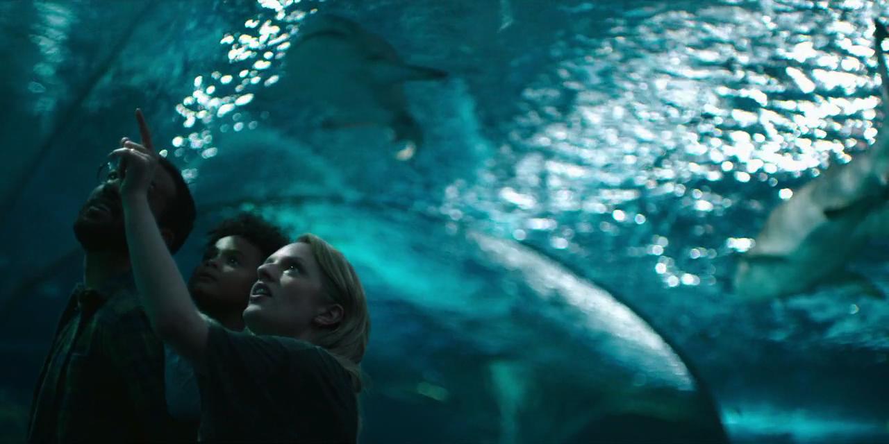 水族馆
