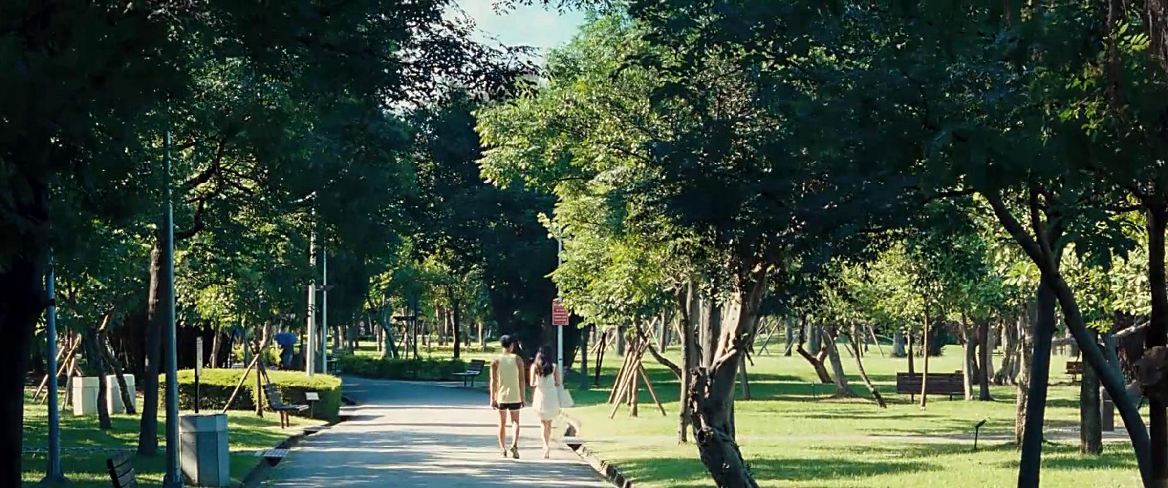 小宽每天跑步的公园
