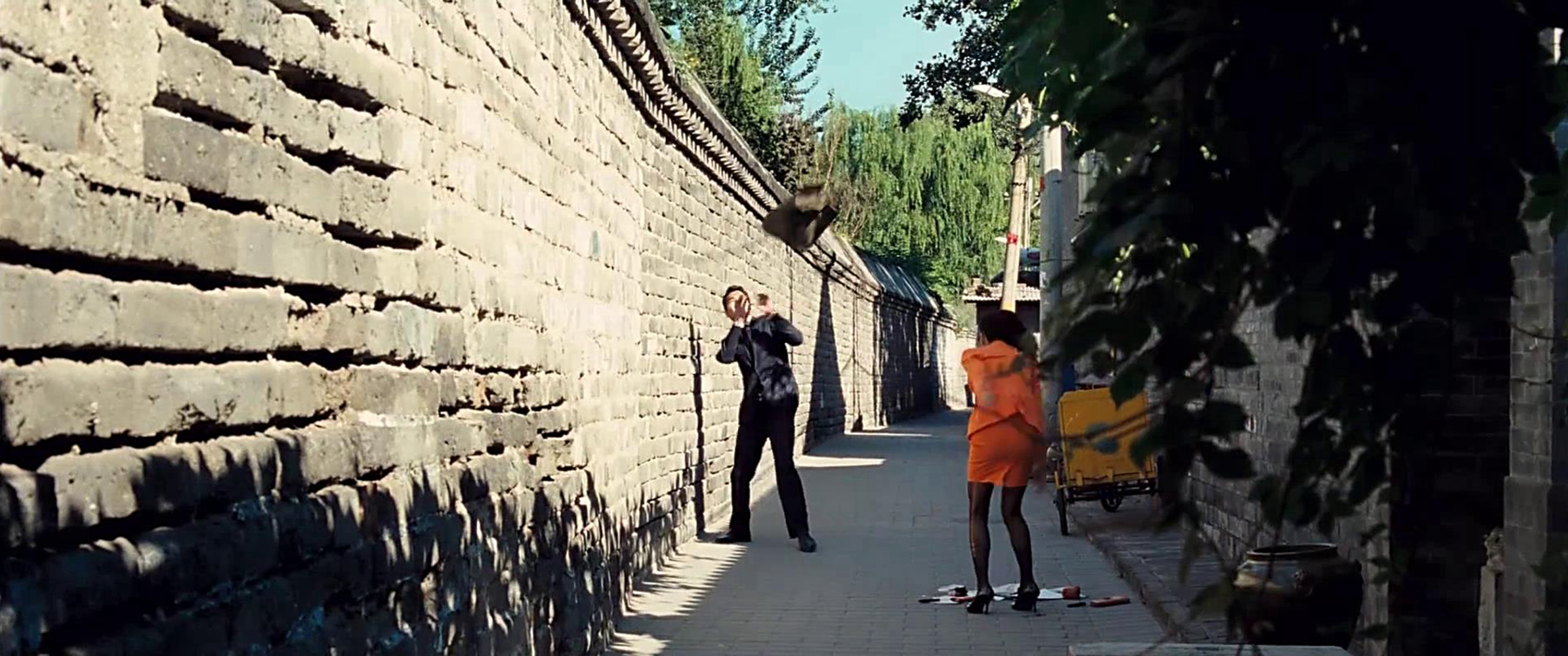 金小叶翻墙头