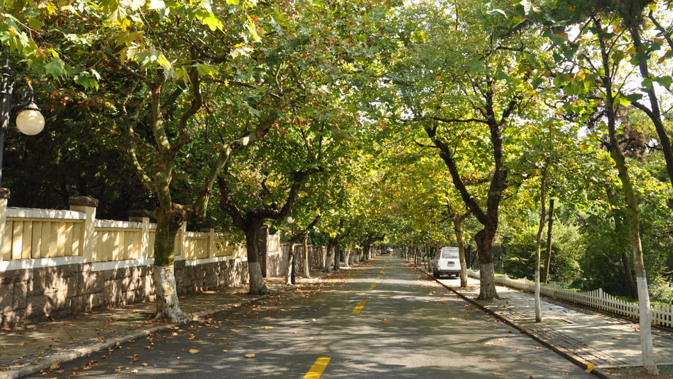 山海关路
