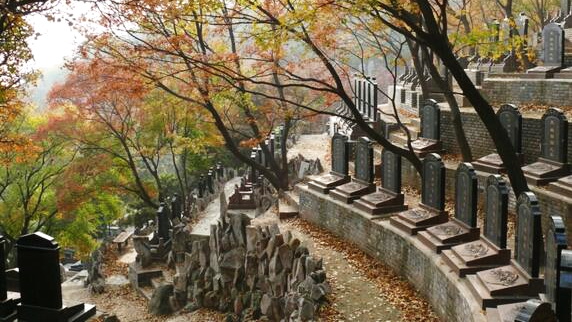 金山陵园