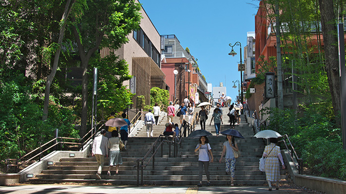 井之头公园入口台阶