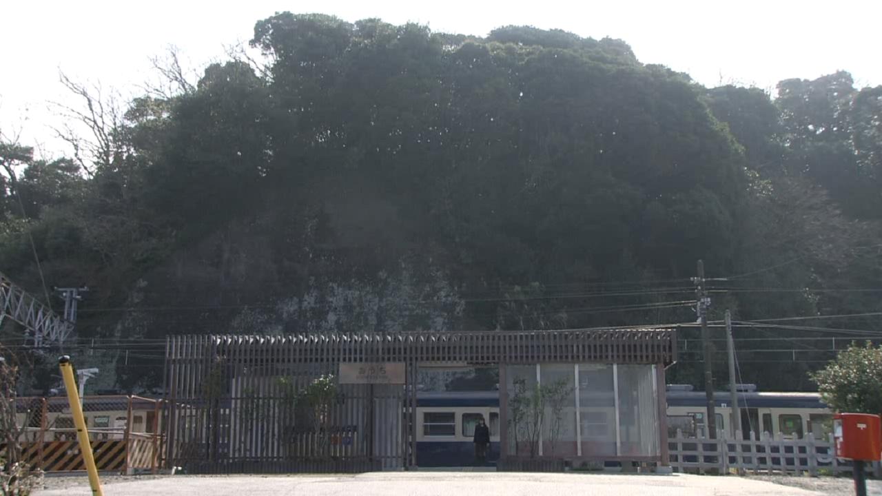杉菜下车的车站