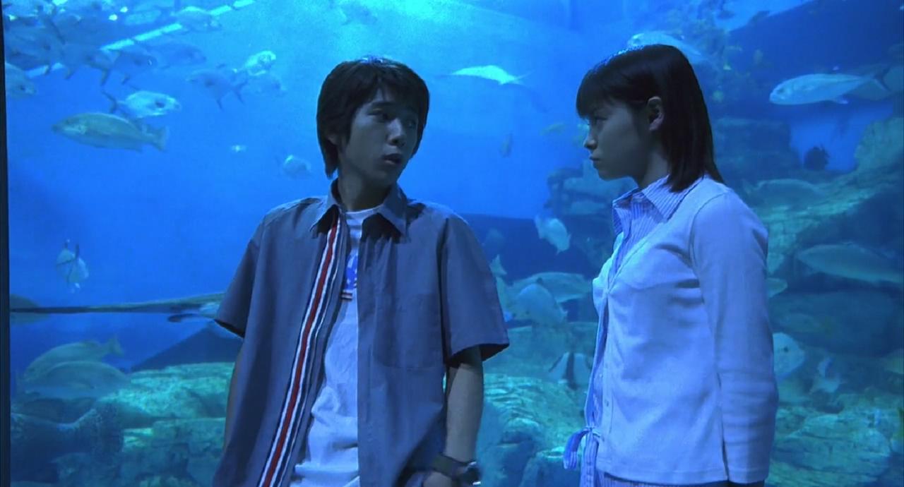 水族馆约会