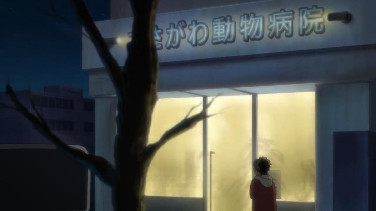 动物医院