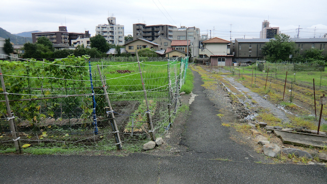 松崎东山东侧路口