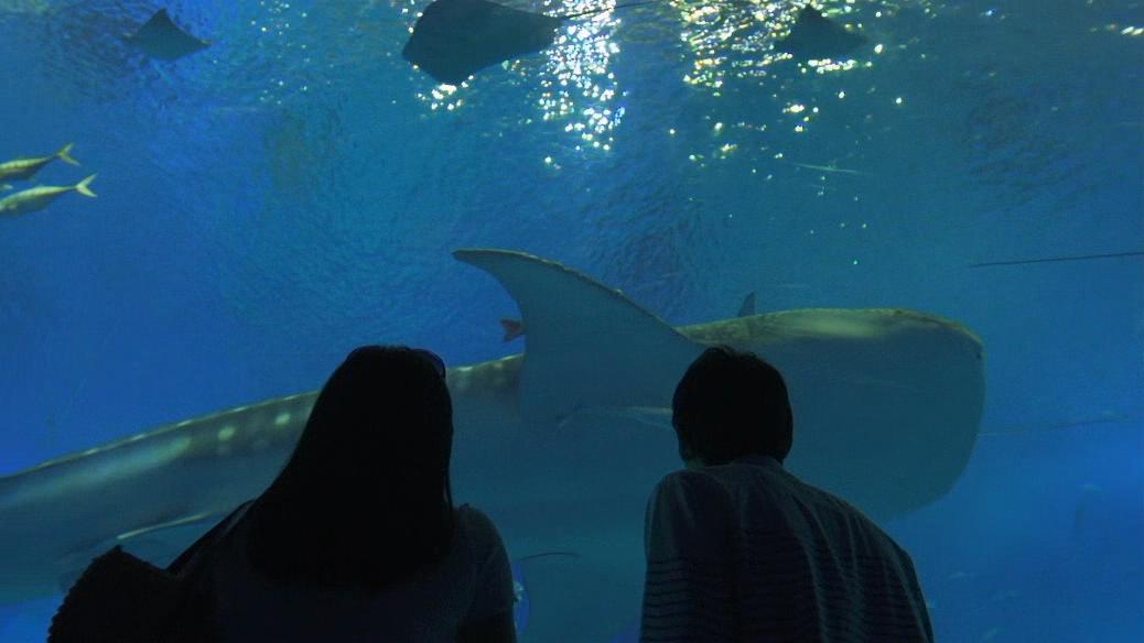 水族馆
