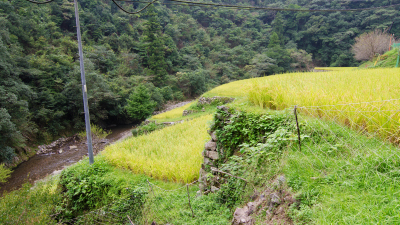 高泽梯田