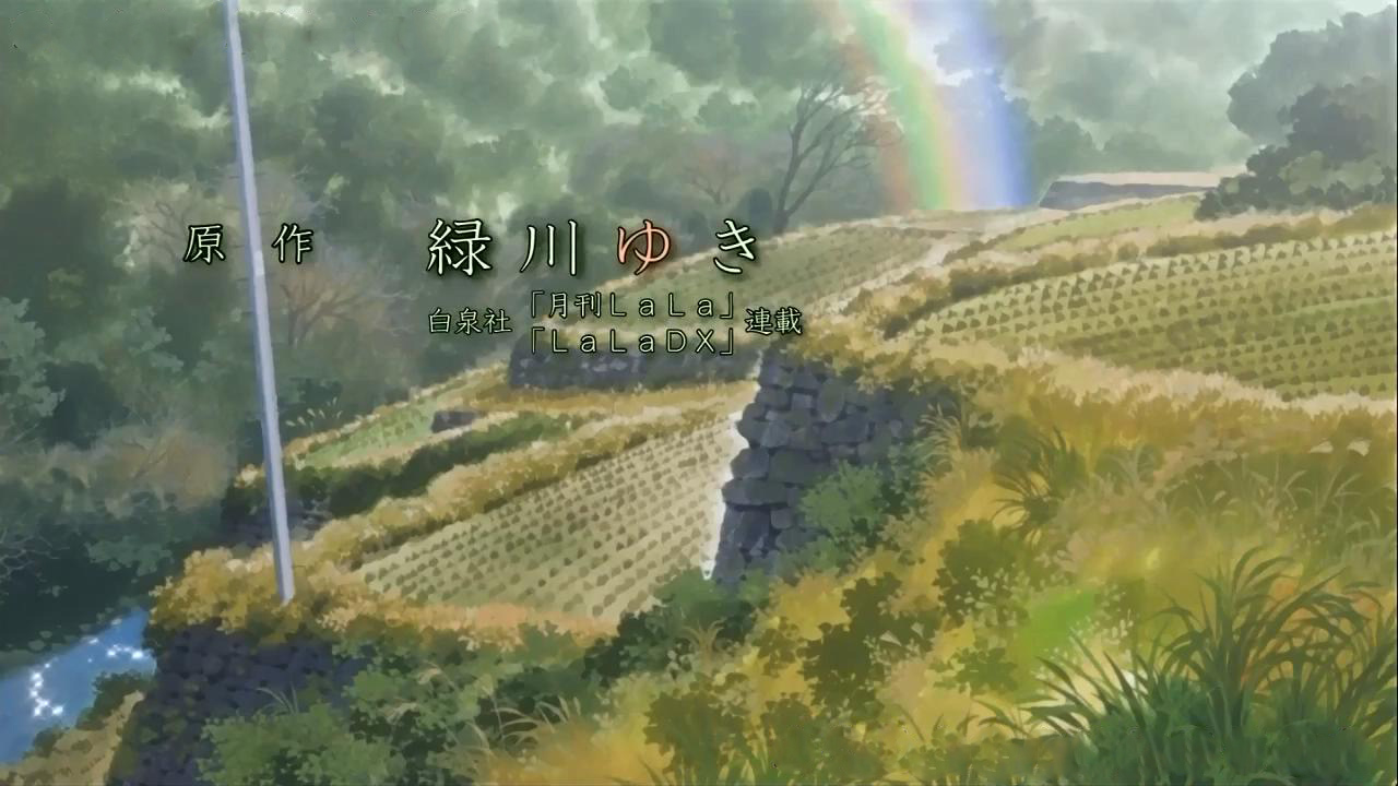 路边梯田