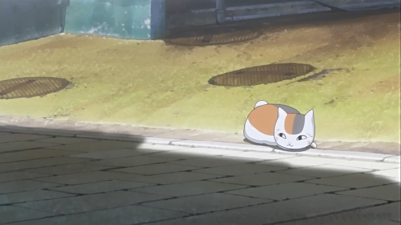 猫咪老师窝在街边
