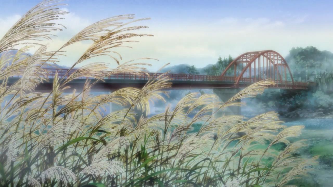 芦苇从中桥