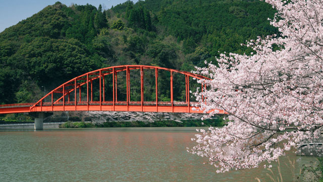 叶木桥