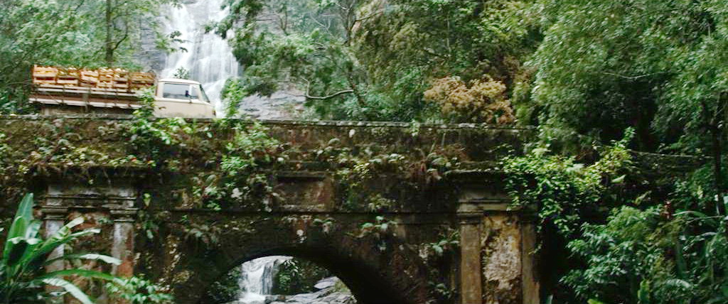 布鲁斯变身后醒来