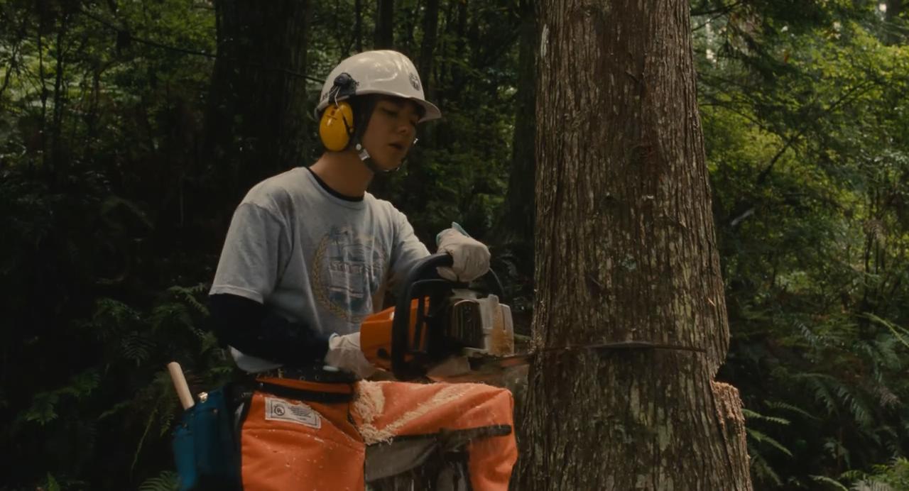 平野第一次伐树