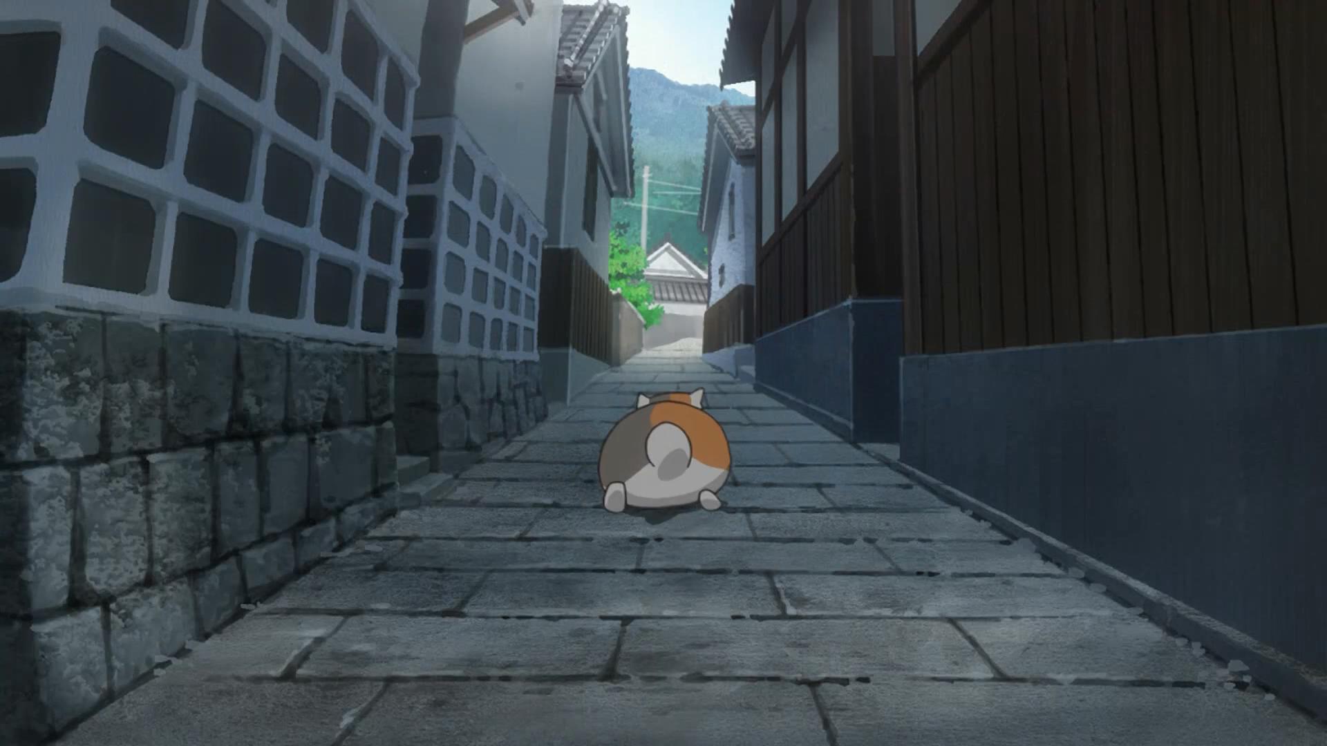 猫咪老师溜走