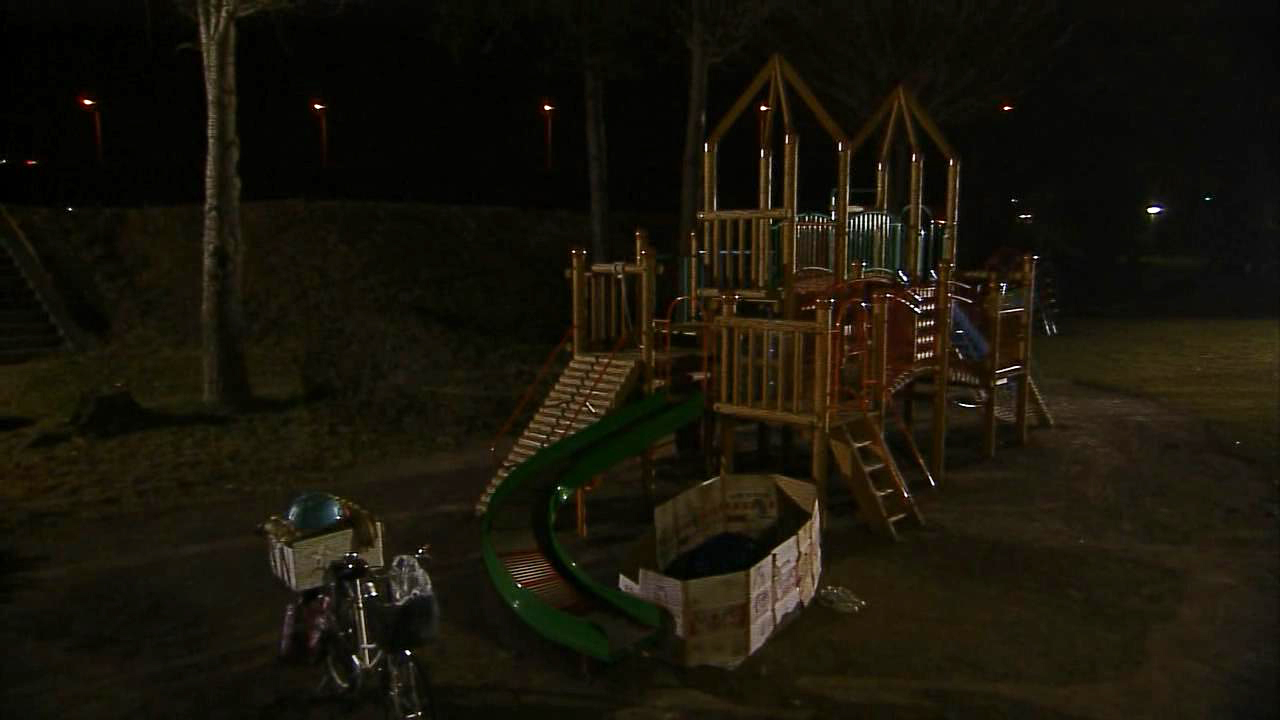 竹本夜宿公园