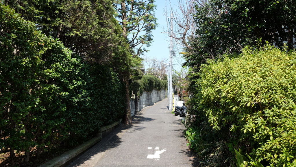 石神井町6丁目小路