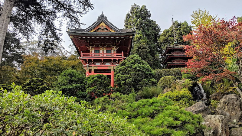 日本茶园