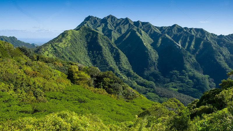 檀香山分水岭森林保护区