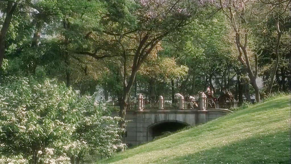 马车游公园