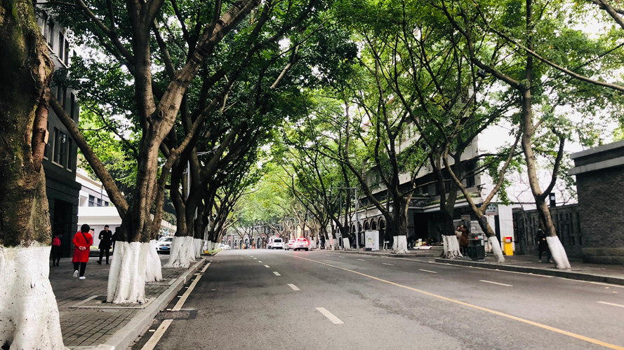 中山四路