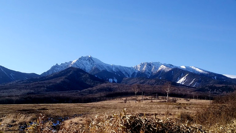 长野八岳牧场