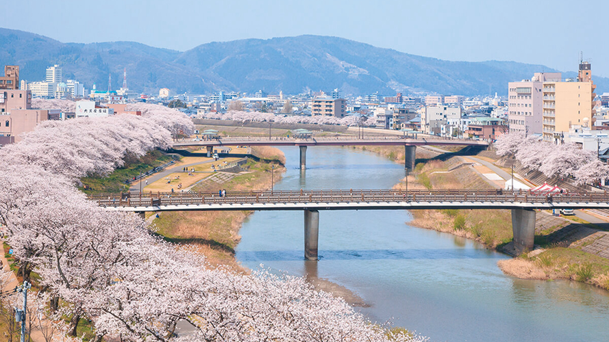 足羽川樱花路
