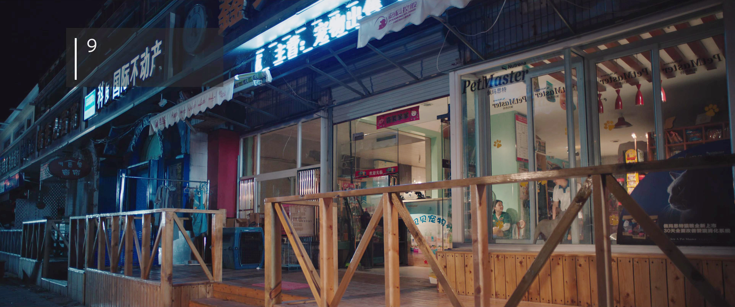 周末宠物店找简单