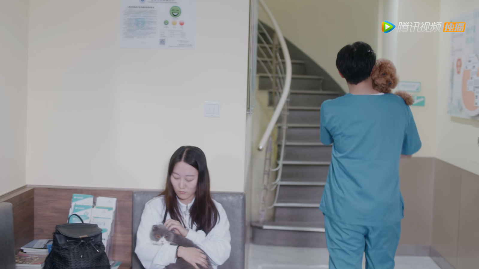 阿尔法做绝育手术