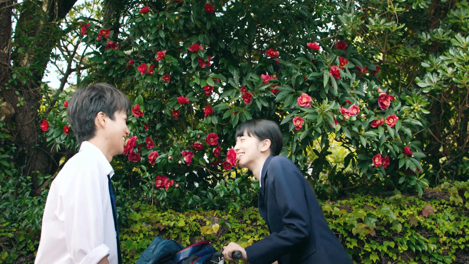 大友教夏芽吸茶花蜜