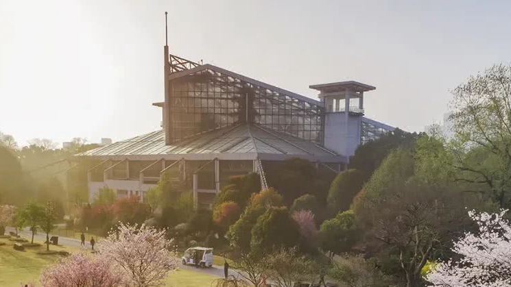 上海植物园
