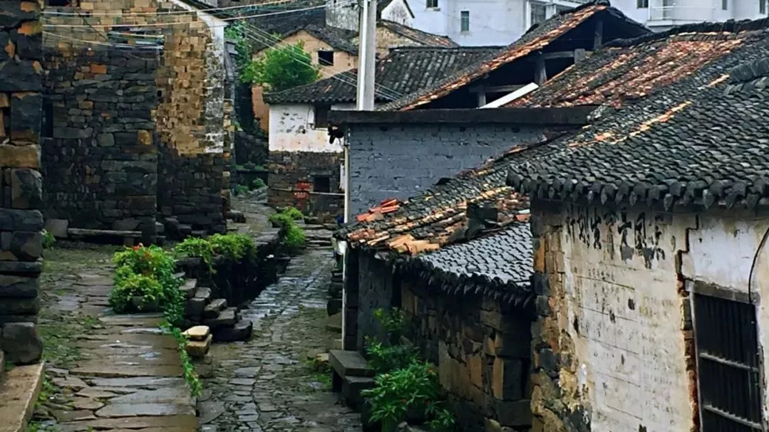 横路村
