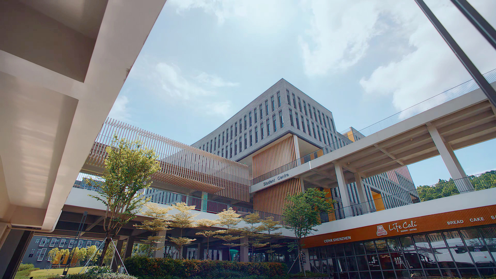 华南财经大学