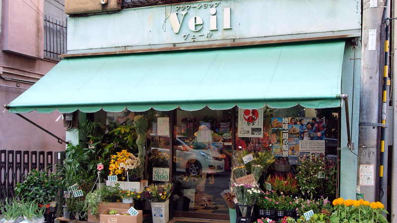 面纱花店