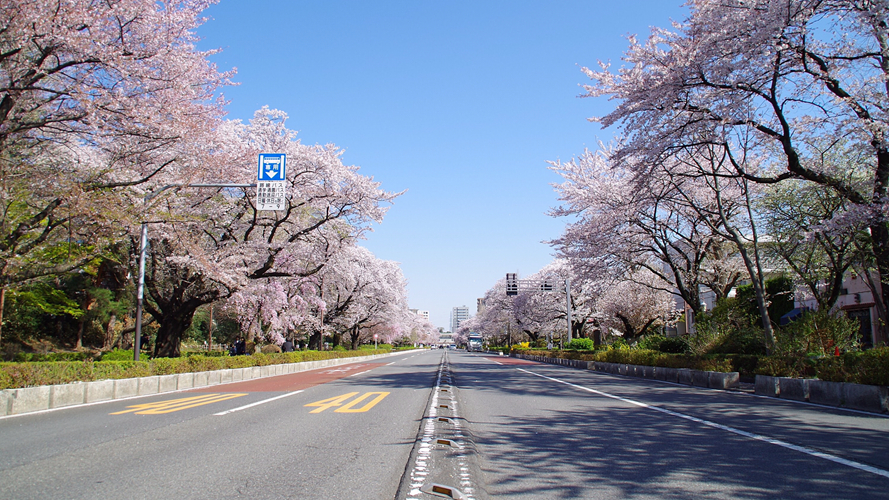 大学街