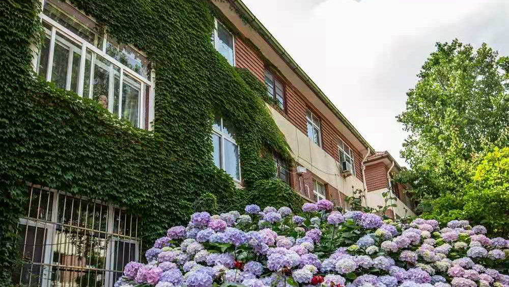 大学路十四号院